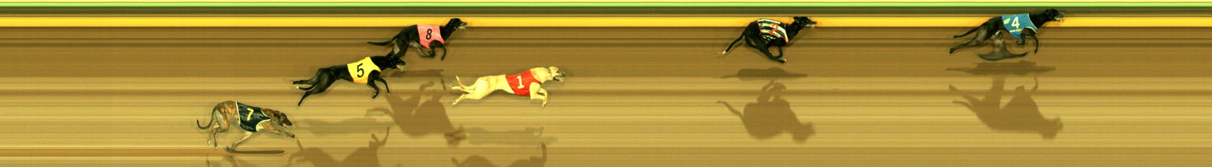 Race result finish photo